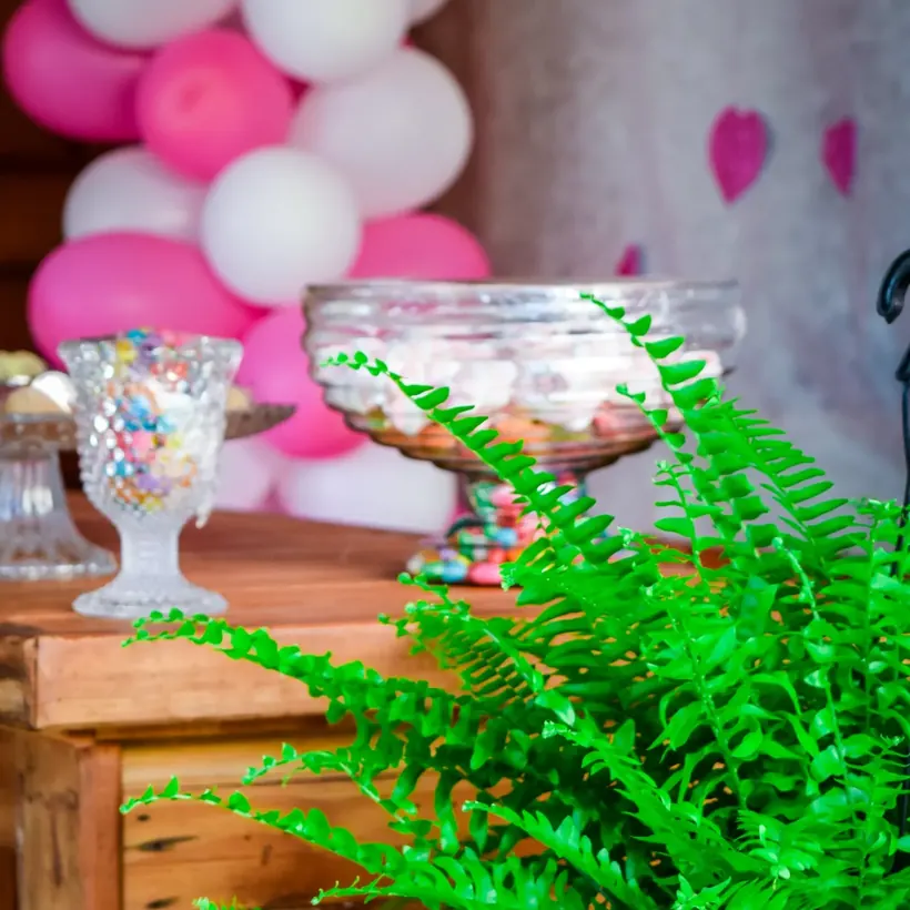 Decoração de festa infantil fotografada pelo Ateliê Dinda Criativa, com balões, doces e arranjos